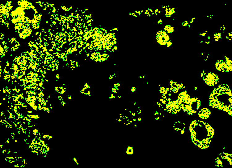 ../_images/notebooks_SKNY_paper_Sakai_et_al_8_1.png