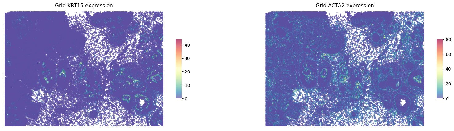 ../_images/notebooks_Xenium_analysis_18_0.png